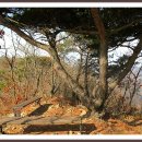 금전산 일원 이미지