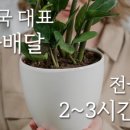 25시플라워
