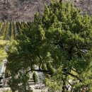 태림농장 이미지