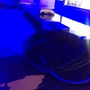 하양낚시 이미지