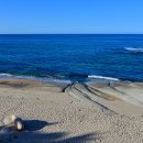 바다정원 이미지