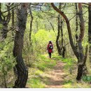 느림보강물길 이미지