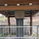 세천정 Daum카페