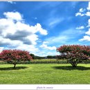 첨성대한의원 이미지