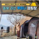 캠핑하는 강아지 콩&amp;서리가 추천하는 애견캠핑장 (충북 괴산 루파니 애견 캠핑장) 내돈내산 찐리뷰