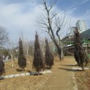 상삼공원 이미지