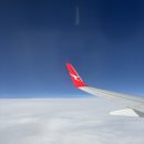 희망찬농장 | 25년 2월 上: 타운즈빌 포기 이유, 블번으로 리턴, 야채공장 때려치기