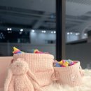 베이비댕 이미지