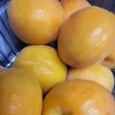 야채과일1번지