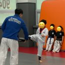 용인대하가태권도 네이버블로그