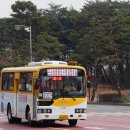 율전버스 이미지