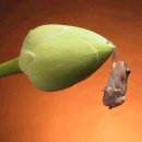 용용죽겠지 이미지