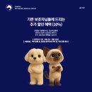 수원 스카이 동물메디컬센터 | "아이들의 시간은 우리보다 빠르니까요" 수원 스카이동물메디컬센터 김민성 수의사가 전하는 강아지...