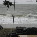 모사금해수욕장 이미지