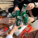 철수카서비스 | [캠핑일지] 충남 보령 용두해수욕장 숲속야영장 캠핑 후기