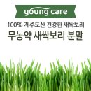 건강한 새싹 이미지