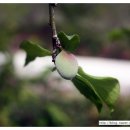 옥영농장 이미지