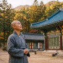 설화 - 화순군 지강로 438 | 설화