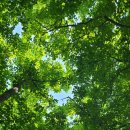 멍하니반하다 이미지