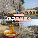 이마트24 두류이월드점 | 대구 벚꽃 명소 아르떼 수성랜드 수성못 두류공원 벚꽃 실시간 갈만한곳