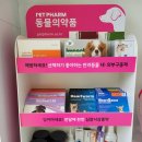 버즈약국 이미지