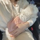 개린이날 이미지