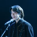 나의 사계 이미지