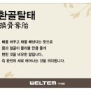 환골탈태