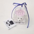 도그투케이크 | [청주 송절동] 우리집 강아지 생일엔 청주강아지케이크 도그투케이크 솔직후기