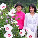 고전에서 배우는 지혜 이미지