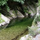 효신 행정사사무소 이미지