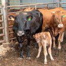 용촌농장 이미지