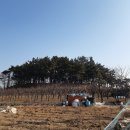 윤성약국 이미지