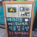 린다플랜트 이미지