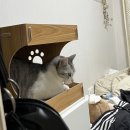 씨유 뉴의정부사랑점 | 12월