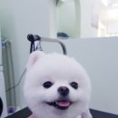 개도만족 이미지