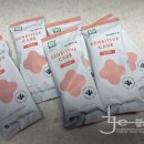 반갑다(반려견이 갑이다) 이미지