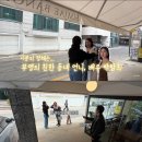 박탐희 카카오 검색결과