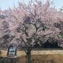 밀양향교 이미지