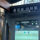 독도블루스 | 2025 November week 3 🪽👩‍✈️💺