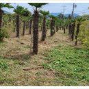 문관농장 이미지