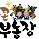 야콘부부농장 이미지