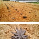 밀물농장 이미지