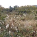 덕천보건진료소 이미지