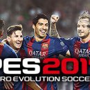 프로스팀 이미지