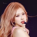 로제(Rose) 네이버블로그