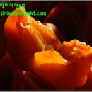 지리산골짝 이미지