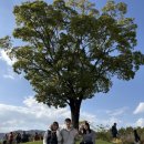 백곰유도클럽 이미지