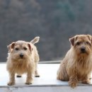 시골펜션 이미지