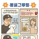 몽글그루밍 이미지